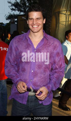 David Boreanaz nimmt an der Premiere von Austin Powers Goldmitglied in Kalifornien Teil. Bild: UK Press Stockfoto