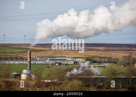 Dampfpumpen aus dem Kamin der Robinson- und Mitchells-Fabrik in der Nähe von Thornton, Bradford, England, West Yorkshire, Großbritannien. Dampf ist Wasser in der Gasphase. Dies kann durch Verdunstung oder durch Sieden auftreten, bei dem Wärme aufgebracht wird, bis das Wasser die Enthalpie der Verdampfung erreicht. Gesättigter oder überhitzter Dampf ist unsichtbar; „Team“ bezieht sich jedoch häufig auf nassen Dampf, den sichtbaren Nebel oder Aerosol von Wassertropfen, die sich aus der Kondenierung von Wasserdampf bilden. Kredit: Windmill Images/Alamy Live Nachrichten Stockfoto