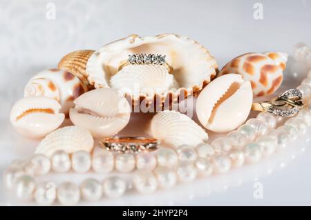 Goldschmuck zwischen den Muscheln. Wunderschöne Muscheln, eine Perlenkette und goldene Ringe. Stockfoto