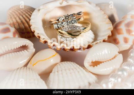 Goldschmuck zwischen den Muscheln. Wunderschöne Muscheln, eine Perlenkette und goldene Ringe. Stockfoto