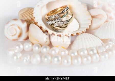 Goldschmuck zwischen den Muscheln. Wunderschöne Muscheln, eine Perlenkette und goldene Ringe. Stockfoto