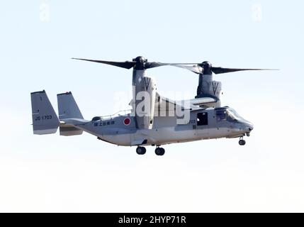 Gotemba, Japan. 15. März 2022. Die V-22 Osprey der japanischen Selbstverteidigungskräfte nähert sich am Dienstag, den 15. März 2022, dem Higashi Fuji Übungsgebiet in Gotemba für eine gemeinsame militärische Übung zwischen Japan und den USA in der Präfektur Shizuoka, westlich von Tokio. Die japanische Schnelleinsatzbrigade 1. für Amphibien und die US 31. Marine Expeditionary Unit eröffneten ihre gemeinsame heliborne Übung für die Presse. Quelle: Yoshio Tsunoda/AFLO/Alamy Live News Stockfoto