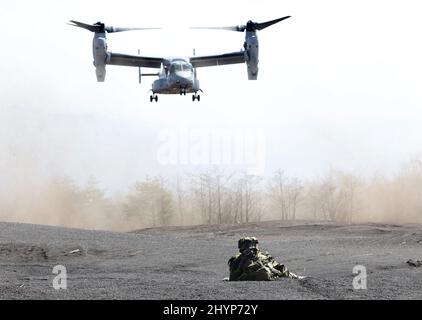 Gotemba, Japan. 15. März 2022. Der MV-22 Osprey VON US Marine nähert sich am Dienstag, den 15. März 2022, dem Higashi Fuji Übungsgebiet in Gotemba für eine gemeinsame militärische Übung zwischen Japan und den USA in der Präfektur Shizuoka, westlich von Tokio, während der Soldat der japanischen Amphibious Rapid Deployment Brigade ein automatisches Gewehr anstrebt, um diese zu unterstützen. Die japanische Schnelleinsatzbrigade 1. für Amphibien und die US 31. Marine Expeditionary Unit eröffneten ihre gemeinsame heliborne Übung für die Presse. Quelle: Yoshio Tsunoda/AFLO/Alamy Live News Stockfoto
