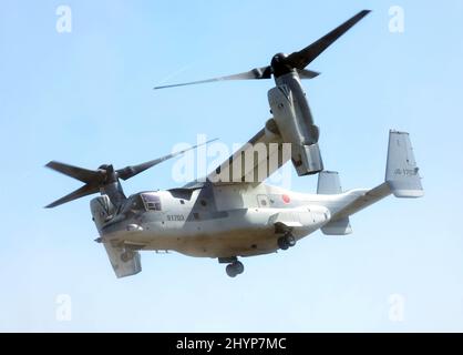 Gotemba, Japan. 15. März 2022. Der V-22 Osprey der japanischen Selbstverteidigungskräfte hebt ab, nachdem amphibische Soldaten der RAPD-Deploment-Brigade am Dienstag, den 15. März 2022, bei einer gemeinsamen Militärübung zwischen Japan und den USA im Higashi Fuji-Übungsplatz in Gotemba in der Präfektur Shizuoka, westlich von Tokio, ausstiegen. Die japanische Schnelleinsatzbrigade 1. für Amphibien und die US 31. Marine Expeditionary Unit eröffneten ihre gemeinsame heliborne Übung für die Presse. Quelle: Yoshio Tsunoda/AFLO/Alamy Live News Stockfoto