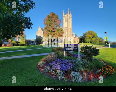 Blick auf ein Blumenbett mit einem Williams College-Schild vor der Thompson Memorial Chapel in Williamstown, MA im Herbst. Stockfoto