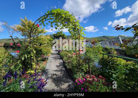 Die Bridge of Flowers überspannt den Deerfield River mit den sanften Hügeln des westlichen Massachusetts als Kulisse in Shelburne, MA im Herbst. Stockfoto