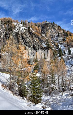 Großglockner, Winter, Lucknerhaus, Schnee, Schneeecke, weiß, schneeweiß, winterlich, Licht, Schatten, Alm, Osttirol, Köndnitztal, Eis, vereist, Spure Stockfoto