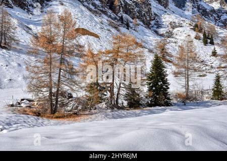 Großglockner, Winter, Lucknerhaus, Schnee, Schneeecke, weiß, schneeweiß, winterlich, Licht, Schatten, Alm, Osttirol, Köndnitztal, Eis, vereist, Spure Stockfoto