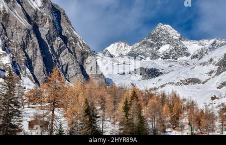 Großglockner, Winter, Lucknerhaus, Schnee, Schneeecke, weiß, schneeweiß, winterlich, Licht, Schatten, Alm, Osttirol, Köndnitztal, Eis, vereist, Spure Stockfoto