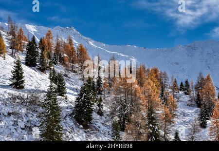 Großglockner, Winter, Lucknerhaus, Schnee, Schneeecke, weiß, schneeweiß, winterlich, Licht, Schatten, Alm, Osttirol, Köndnitztal, Eis, vereist, Spure Stockfoto