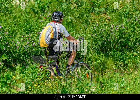 Senior macht im Sommer eine Radtour Stockfoto