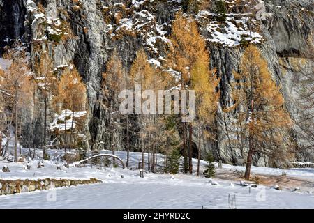Großglockner, Winter, Lucknerhaus, Schnee, Schneeecke, weiß, schneeweiß, winterlich, Licht, Schatten, Alm, Osttirol, Köndnitztal, Eis, vereist, Spure Stockfoto