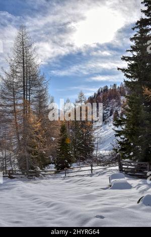 Großglockner, Winter, Lucknerhaus, Schnee, Schneeecke, weiß, schneeweiß, winterlich, Licht, Schatten, Alm, Osttirol, Köndnitztal, Eis, vereist, Spure Stockfoto