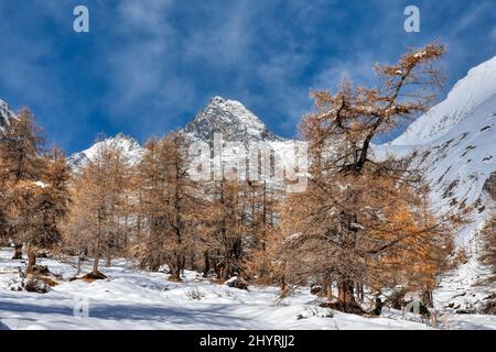 Großglockner, Winter, Lucknerhaus, Schnee, Schneeecke, weiß, schneeweiß, winterlich, Licht, Schatten, Alm, Osttirol, Köndnitztal, Eis, vereist, Spure Stockfoto