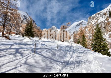 Großglockner, Winter, Lucknerhaus, Schnee, Schneeecke, weiß, schneeweiß, winterlich, Licht, Schatten, Alm, Osttirol, Köndnitztal, Eis, vereist, Spure Stockfoto