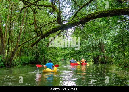 Mehrere Leute machen eine Kanutour auf dem idyllischen Fluss Pegnitz in franken Stockfoto