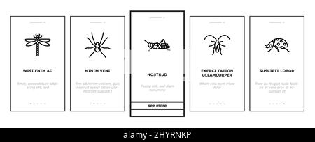 Insekten-, Spinnen- Und Bug-Wildlife Onboarding Icons Set Vector Stock Vektor