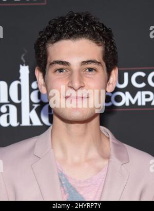 David Mazouz kommt zu €˜The Birthday Cake' Los Angeles Premiere im Fine Arts Theatre am 16. Juni 2021 in Los Angeles, CA. Stockfoto