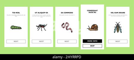 Insekten-, Spinnen- Und Bug-Wildlife Onboarding Icons Set Vector Stock Vektor