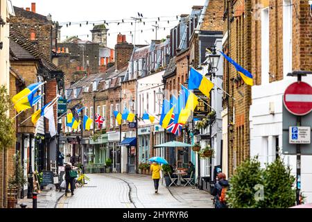 Ukraine Flaggen fliegen in Twickenham, um die Ukraine zu unterstützen Stockfoto