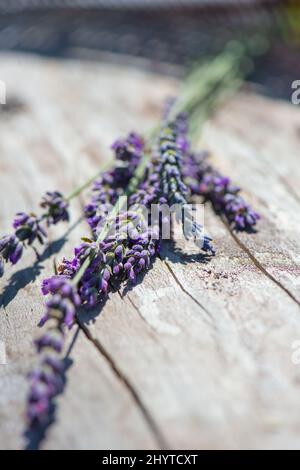 Nahaufnahme Lavendelbündel auf Baumstumpf Stockfoto