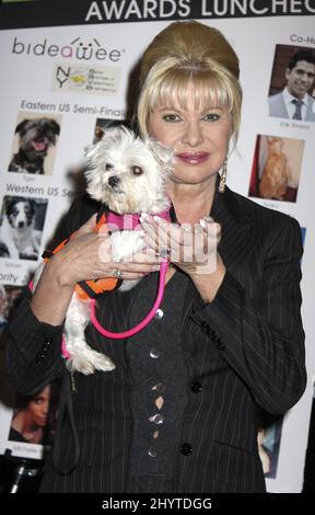 Ivana Trump nimmt am ersten jährlichen StarPet 2008 des Bideawee im Edison Ballroom, New York, Teil. Stockfoto