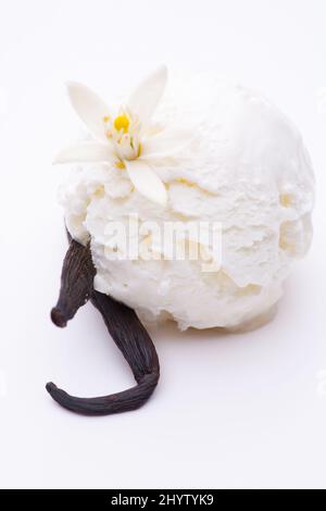 Eine Kugel Vanilleeis mit einer auf weißem Hintergrund isolierten Vanilleschote Stockfoto