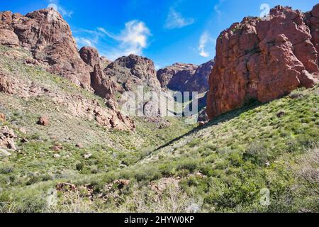 Die Mündung des Arch Canyon in den Ajo Mountains, Organ Pipe Cactus National Monument, Süd-Arizona, USA Stockfoto