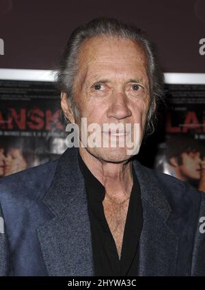 10. Februar 2009 West Hollywood, Ca. David Carradine Crips and Bloods: Made in America Los Angeles Premiere in Laemelles Sunset Five Stockfoto