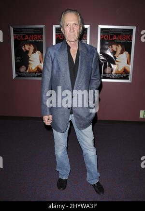 10. Februar 2009 West Hollywood, Ca. David Carradine Crips and Bloods: Made in America Los Angeles Premiere in Laemelles Sunset Five Stockfoto