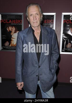 10. Februar 2009 West Hollywood, Ca. David Carradine Crips and Bloods: Made in America Los Angeles Premiere in Laemelles Sunset Five Stockfoto