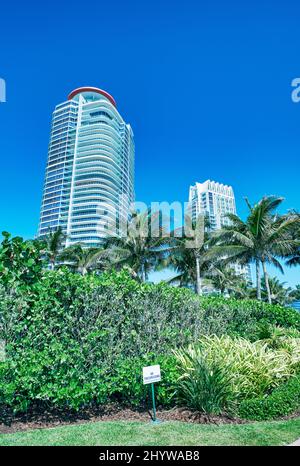 Gebäude und Bäume im South Pointe Park, Miami Beach an einem sonnigen Tag Stockfoto
