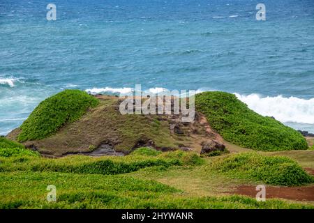 Touristen, die in La Roche Qui Pleure, der Fels, der weint., Mauritius. Stockfoto