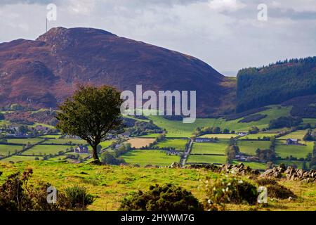 Ring of Gullion in der Grafschaft Armagh der Standort eines ausgestorbenen Vulkans und Blaslöcher, Nordirland Stockfoto