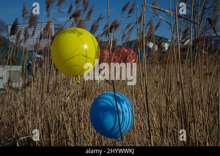 Medyka, Polen. 11. März 2022. (3/11/2022) zwei blau-gelbe Luftballons, die die Flagge der Ukraine an der Grenze zu Medyka, Polen, repräsentieren. Russische Streitkräfte betraten das Territorium der Ukraine Anfang des Monats. (Foto von Fer Capdepon Arroyo/Pacific Press/Sipa USA) Quelle: SIPA USA/Alamy Live News Stockfoto