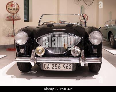 A 1955 Austin Healey 100m BN2 im Franschhoek Motor Museum South Africa Stockfoto