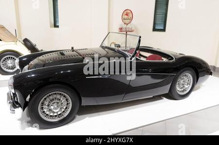 A 1955 Austin Healey 100m BN2 im Franschhoek Motor Museum South Africa Stockfoto