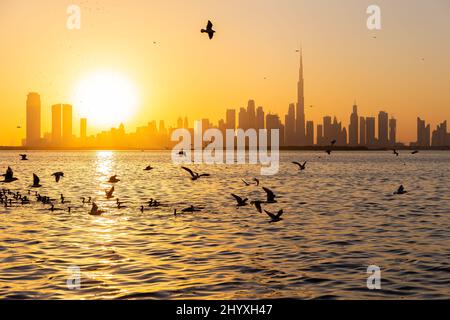 Skyline von Dubai Downtown bei Sonnenuntergang mit Vogelscharen über dem Dubai Creek Canal, von der Dubai Creek Harbour Promenade aus gesehen. Stockfoto