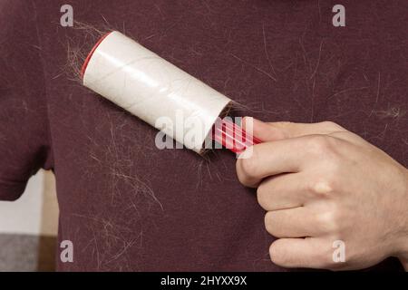 Ein Mann mit einer klebrigen Kleiderrolle entfernt Tierhaare aus der Kleidung. Katzenhaar auf der Kleidung. Eine klebrige Rolle, die Katzenhaare entfernt. Stockfoto