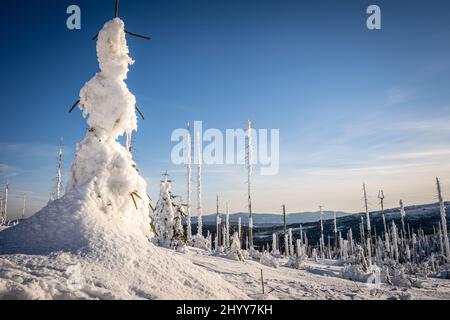 Dreisessel-Berghang an der Grenze zwischen Deutschland und Tschechien, Bayerischer Wald Stockfoto