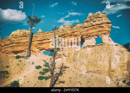 Natürliche Bögen entlang Des Mossy Cave Trail in der Nähe des Bryce Canyon, Utah. Stockfoto