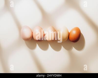 Bunte Eier stehen auf beigefarbenem Hintergrund mit Schatten in Reihe. Eier werden nach Farbe vom hellsten bis zum dunkelsten angeordnet. Farbverlauf. Trendige ostern Stockfoto