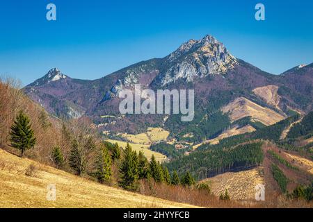 Landschaft mit Bergen im Frühling. Der große Rozsutec-Hügel im Nationalpark Mala Fatra, in der Nähe des Dorfes Terchova in der Slowakei, Europa. Stockfoto