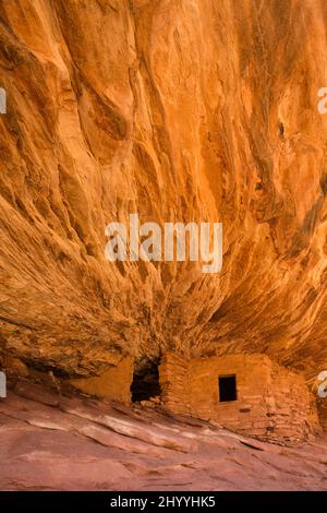Die House on Fire Ruin ist eine alte 1.000 Jahre alte Ancestral Puebloan Klippe, die im Mule Canyon in der Shash Jaa Unit of the Bears Ears National wohnt Stockfoto