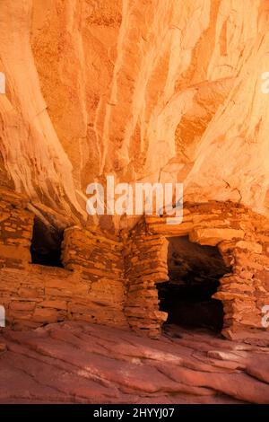 Die House on Fire Ruin ist eine alte 1.000 Jahre alte Ancestral Puebloan Klippe, die im Mule Canyon in der Shash Jaa Unit of the Bears Ears National wohnt Stockfoto