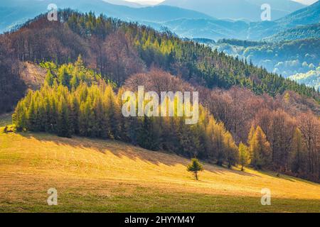 Landschaft mit Hügeln mit Wäldern bedeckt. Die Strasower Berge in der Slowakei, Europa. Stockfoto