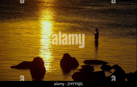 Eingefleischter Fischer steht bei Ebbe im ruhigen Wasser des Meeres, während er bei Sonnenuntergang angeln kann Stockfoto