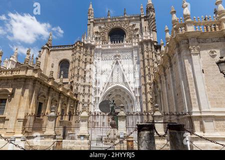 Blick auf die schöne Fassade und Architektur der Kathedrale von Sevilla. Römisch-katholische Kathedrale, die 1987 von der UNESCO zum Weltkulturerbe erklärt wurde Stockfoto