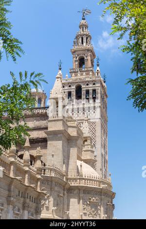 Blick auf den schönen Turm und die Architektur der Kathedrale von Sevilla. Römisch-katholische Kathedrale, die 1987 von der UNESCO zum Weltkulturerbe erklärt wurde Stockfoto