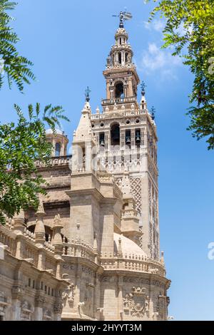 Blick auf den schönen Turm und die Architektur der Kathedrale von Sevilla. Römisch-katholische Kathedrale, die 1987 von der UNESCO zum Weltkulturerbe erklärt wurde Stockfoto